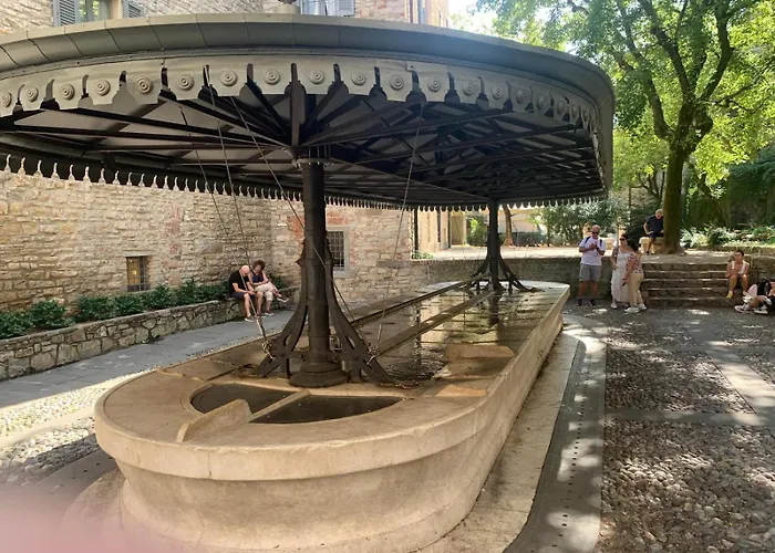 Glicine * Μπέργκαμο